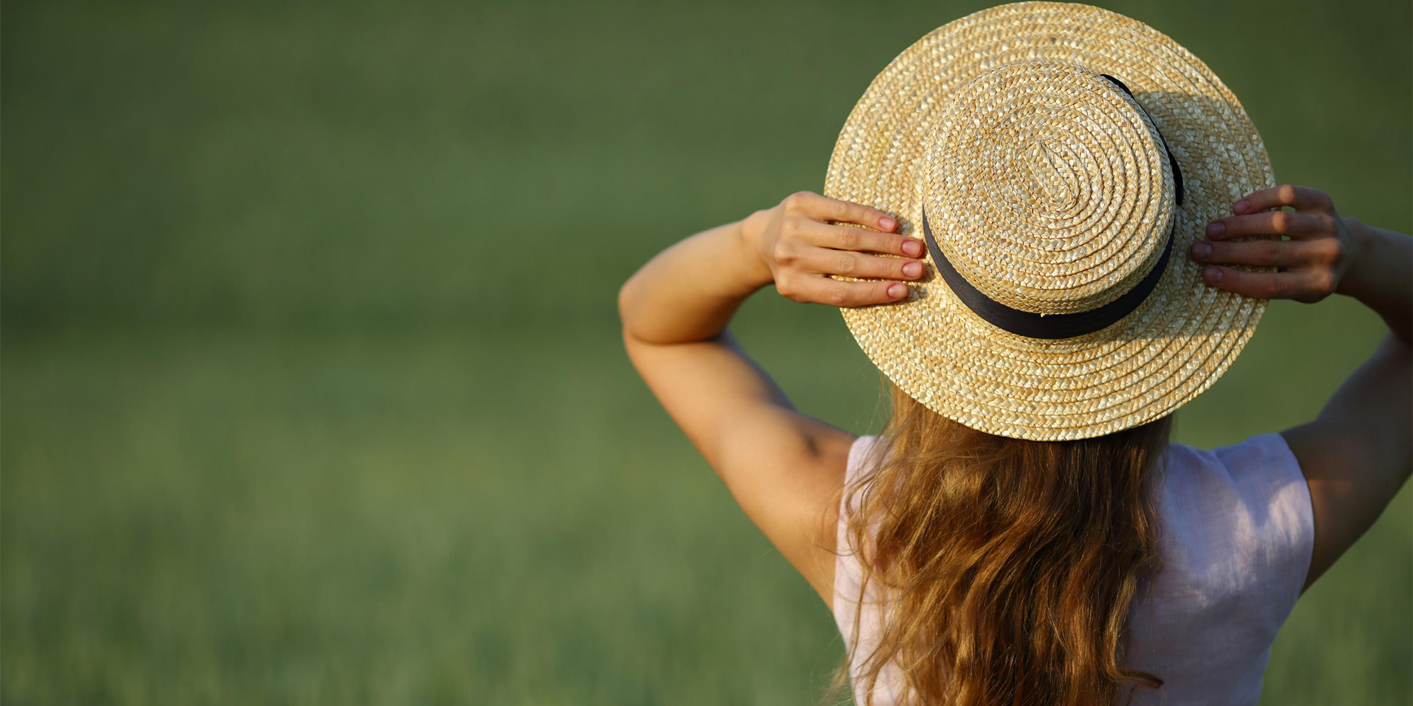 Venetian Development Group, Banner