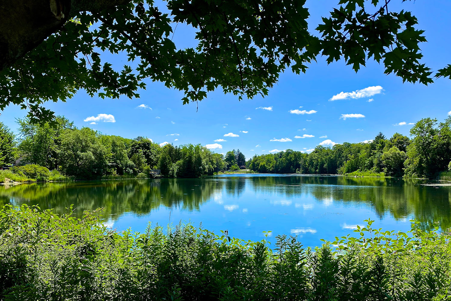 Venetian Group Development, Beautiful House, Beutifull Bunglow, Home, Bathroom Designs, Bathroom Design, Kitchen design