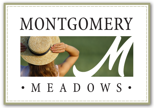 Venetian Group Development